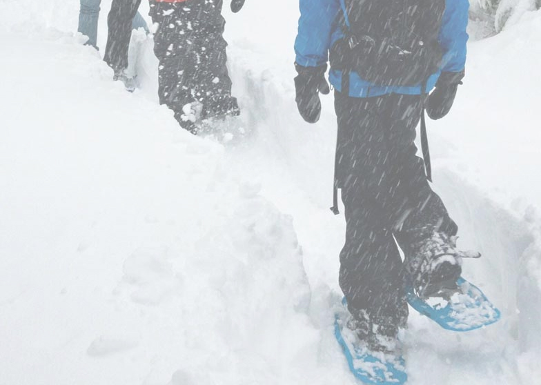 A snowshoer carrying a backpack breaks trail through falling snow.