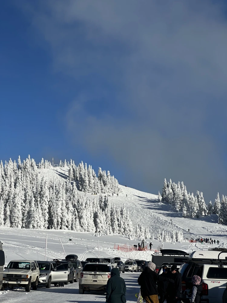 Skiers and visitors fill the Hurricane Ridge parking lot on a blue sky day