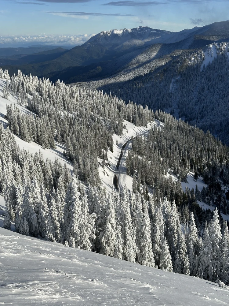 Hurricane Ridge Road winds uphill through frosted forest